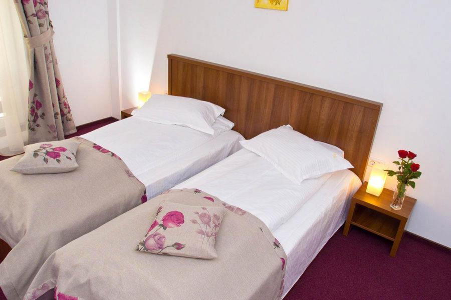 Hotel Domnitei Călimăneşti Buitenkant foto